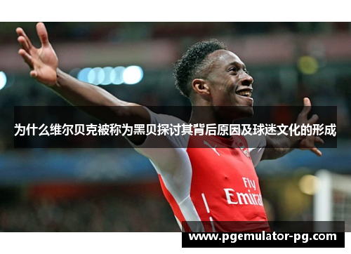 为什么维尔贝克被称为黑贝探讨其背后原因及球迷文化的形成