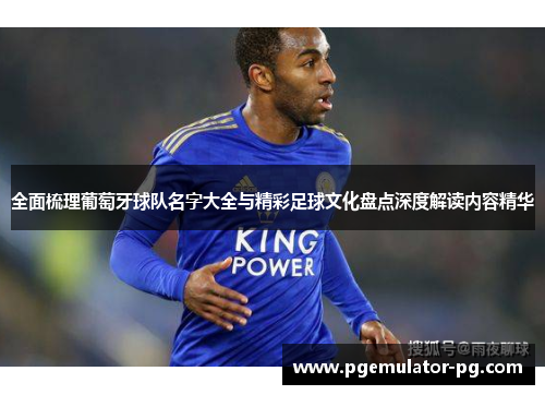 全面梳理葡萄牙球队名字大全与精彩足球文化盘点深度解读内容精华 全面梳理葡萄牙球队名字大全与精彩足球文化盘点深度解读内容精华