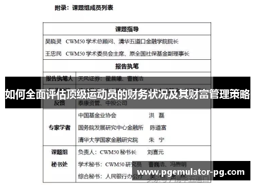 如何全面评估顶级运动员的财务状况及其财富管理策略