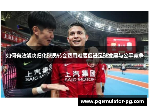 如何有效解决归化球员转会费用难题促进足球发展与公平竞争