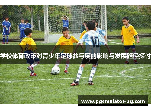 学校体育政策对青少年足球参与度的影响与发展路径探讨
