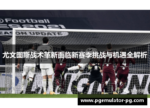 尤文图斯战术革新面临新赛季挑战与机遇全解析