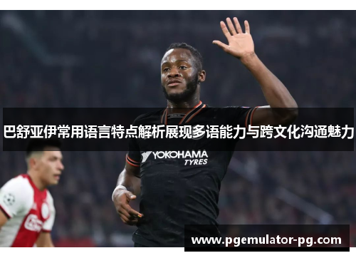 巴舒亚伊常用语言特点解析展现多语能力与跨文化沟通魅力 巴舒亚伊常用语言特点解析展现多语能力与跨文化沟通魅力