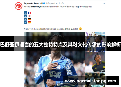 巴舒亚伊语言的五大独特特点及其对文化传承的影响解析 巴舒亚伊语言的五大独特特点及其对文化传承的影响解析