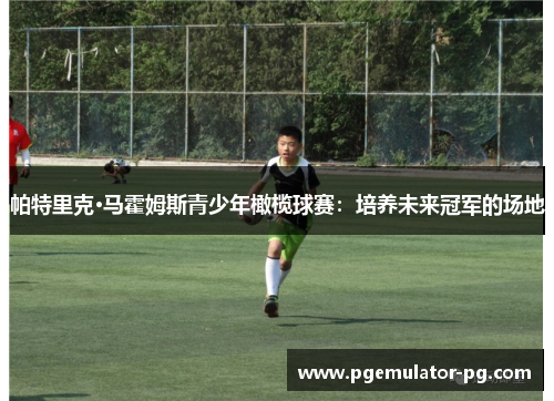 帕特里克·马霍姆斯青少年橄榄球赛：培养未来冠军的场地